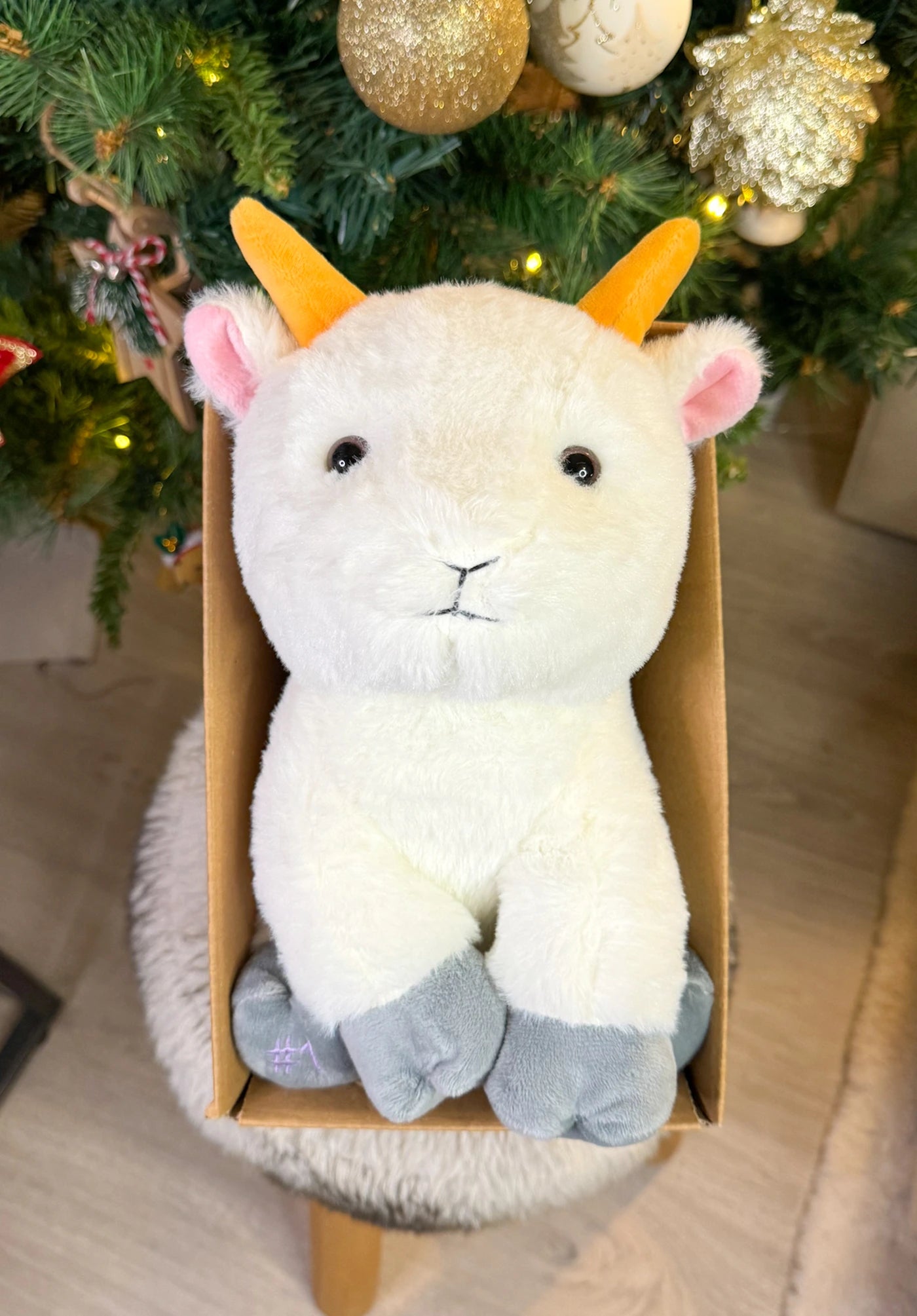 Coffret Câlin Billy