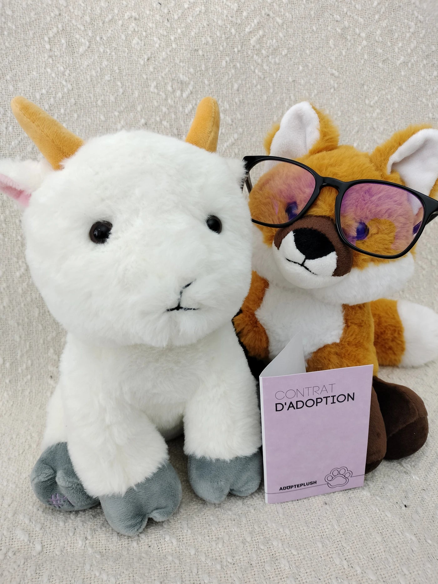 Coffret Câlin Foxy