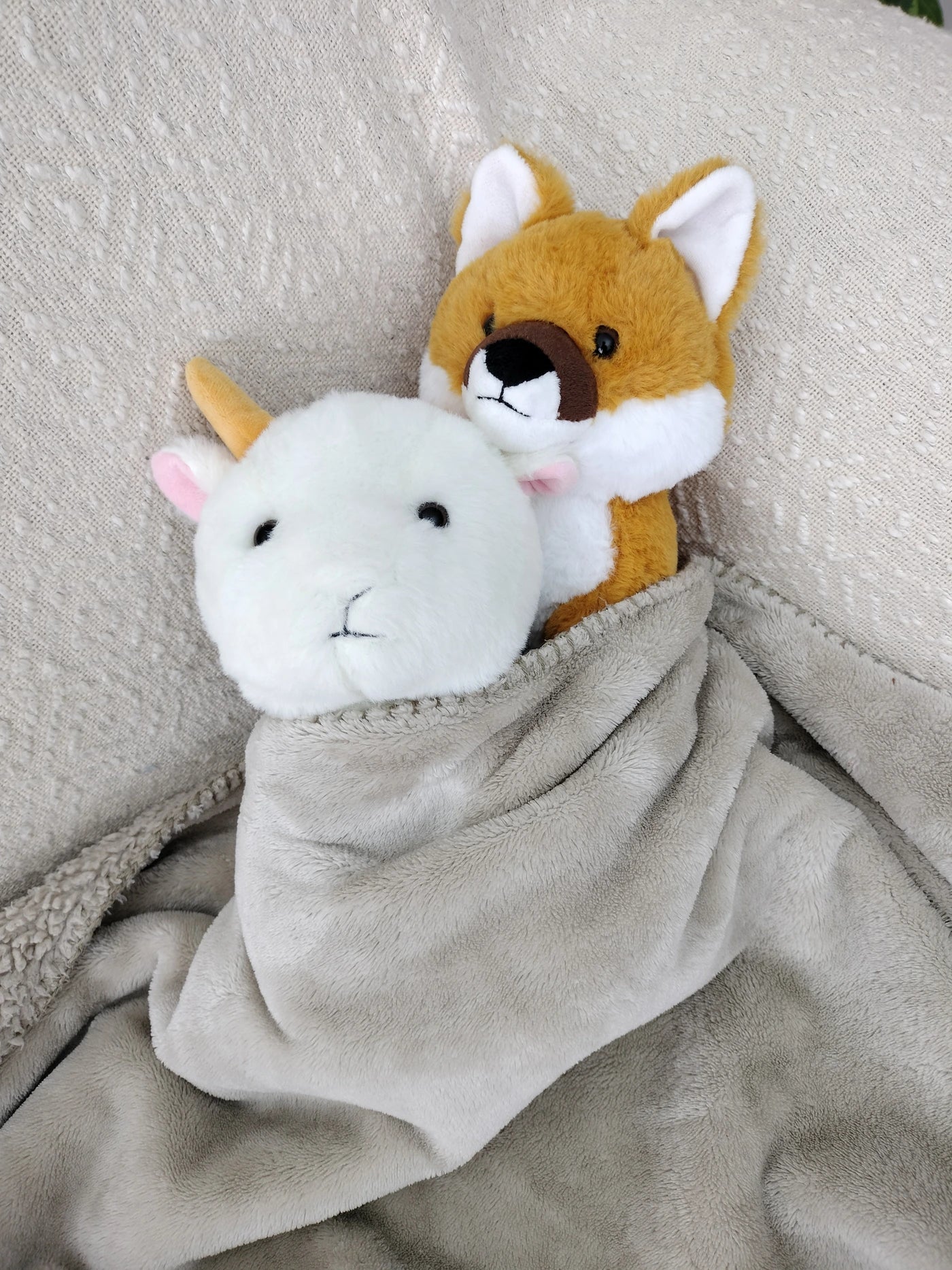 Coffret Câlin Billy