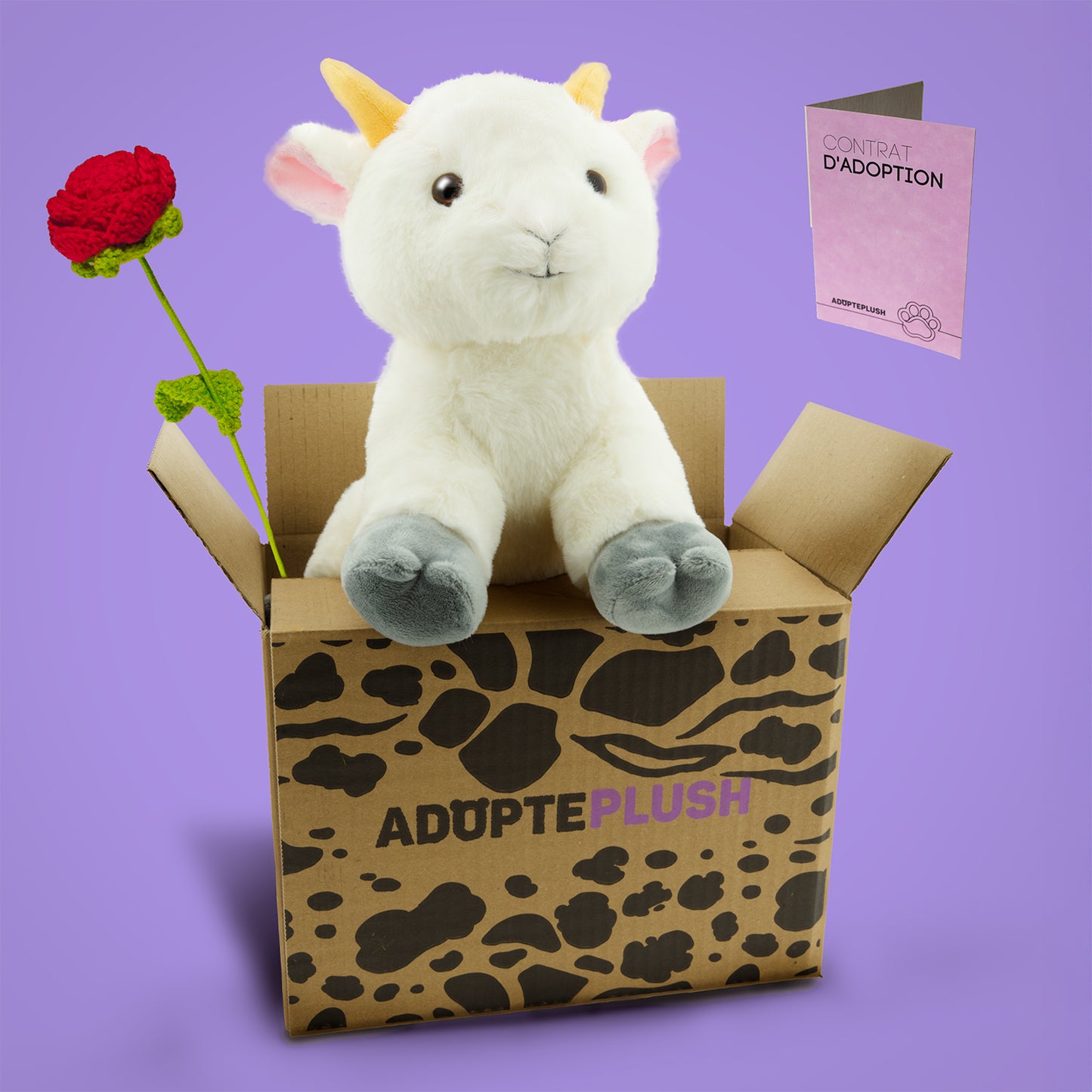Coffret Câlin Billy