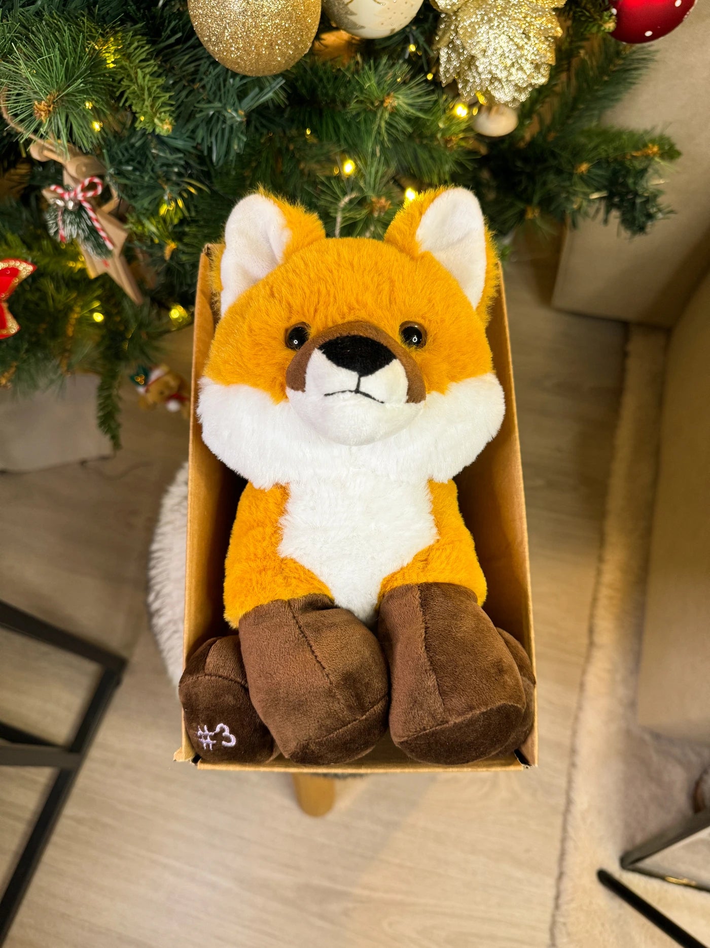 Coffret Câlin Foxy