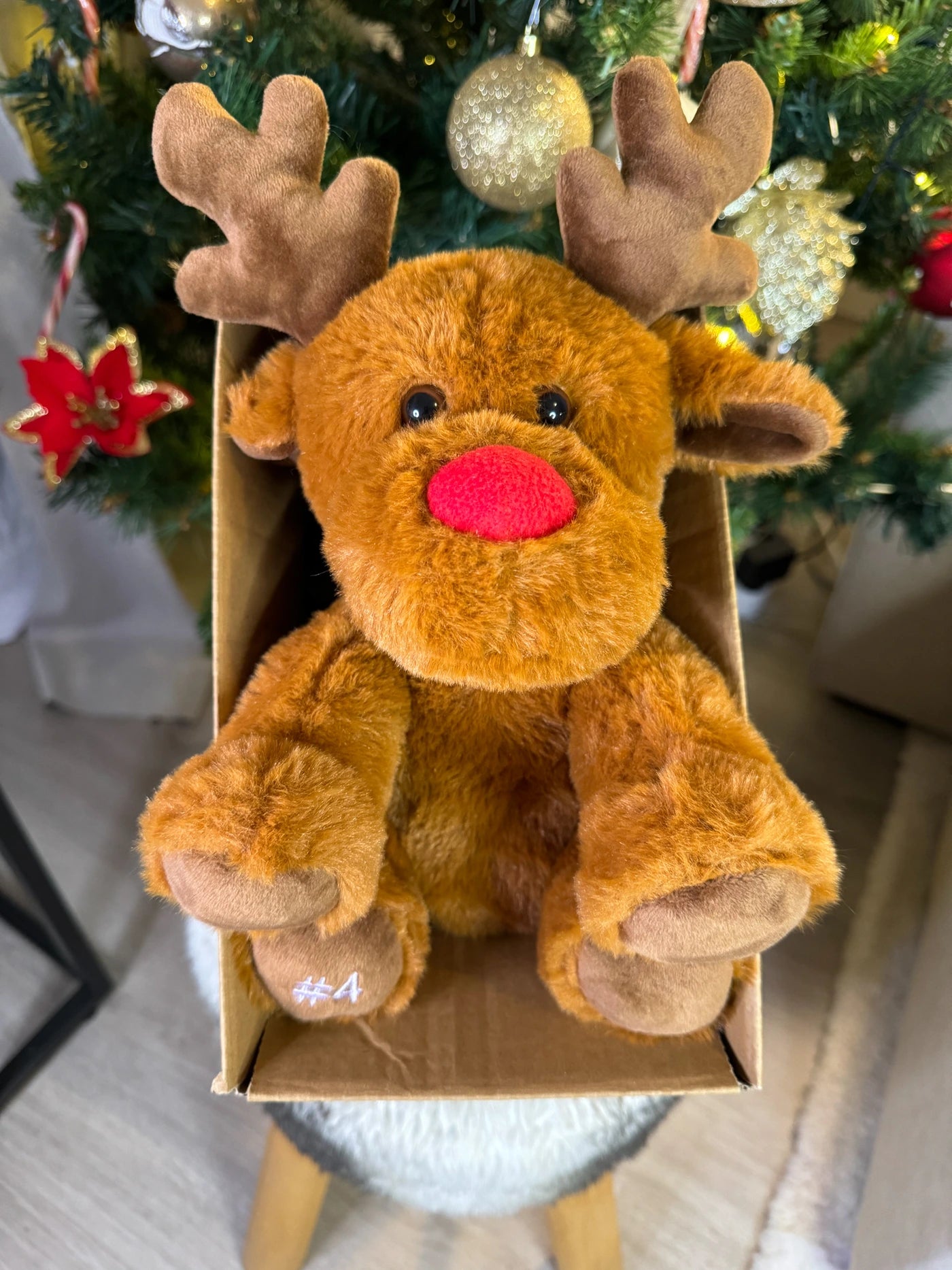 Coffret Câlin Rudolf
