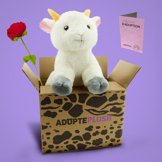 Coffret Câlin Billy