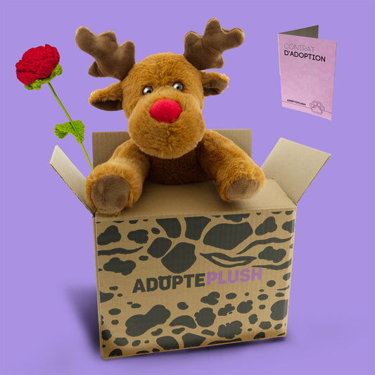 Coffret Câlin Rudolf