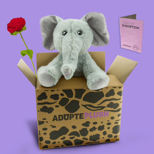 Coffret Câlin Jumbo