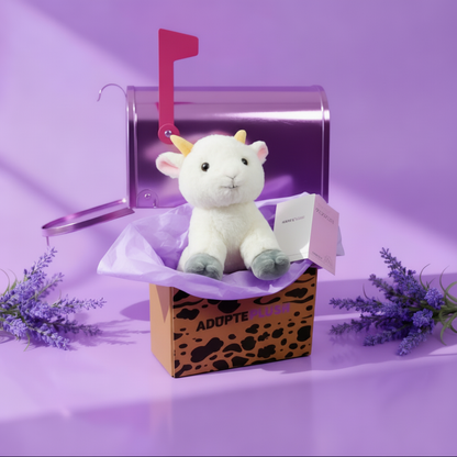 Coffret Câlin Billy