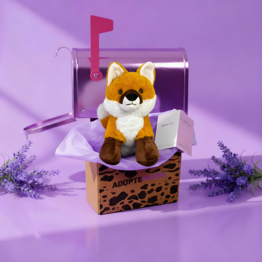 Coffret Câlin Foxy
