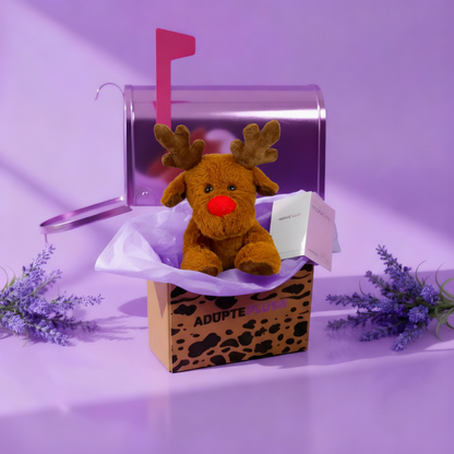 Coffret Câlin Rudolf