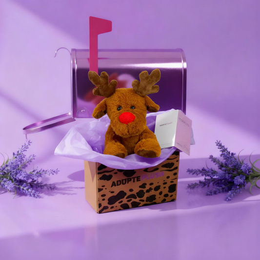 Coffret Câlin Rudolf