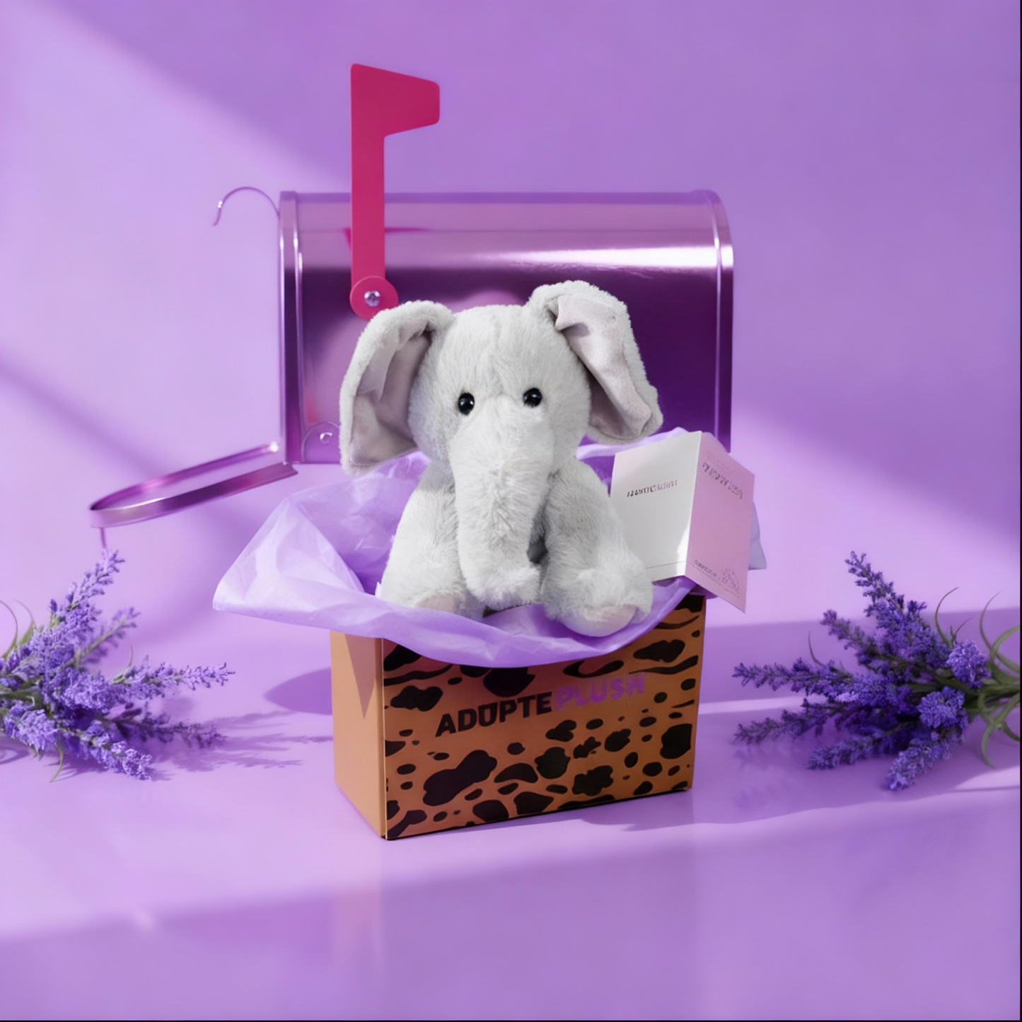 Coffret Câlin Jumbo