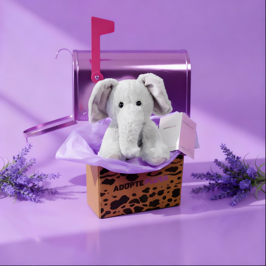 Coffret Câlin Jumbo