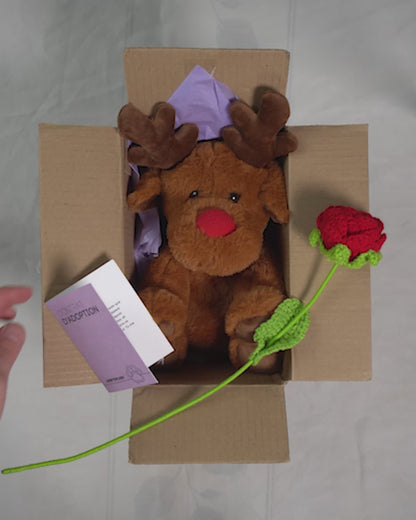 Coffret Câlin Rudolf