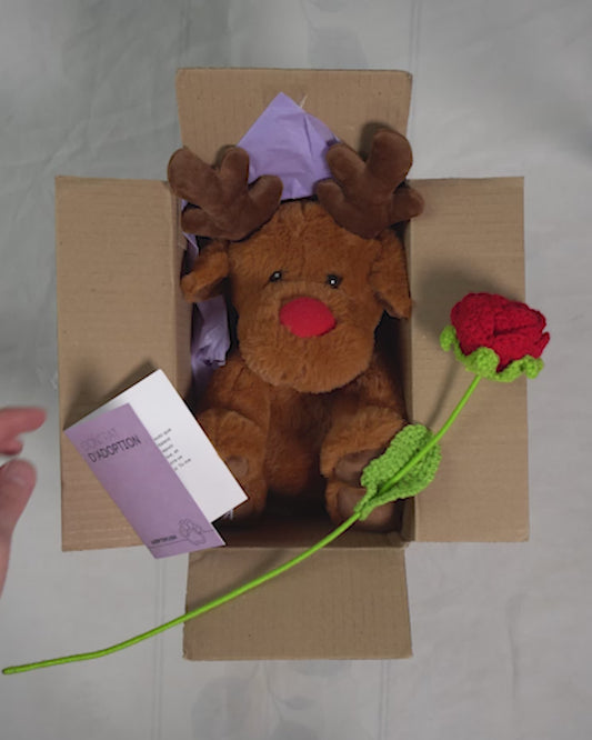 Coffret Câlin Rudolf