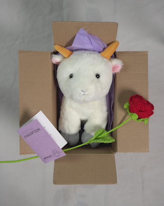 Coffret Câlin Billy