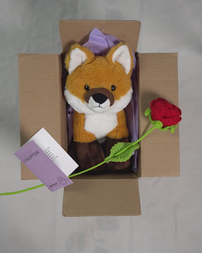 Coffret Câlin Foxy